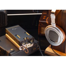 Cayin C9 II mit Schutzhülle