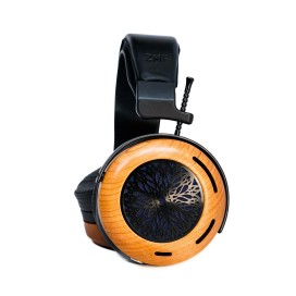 ZMF Atrium Open