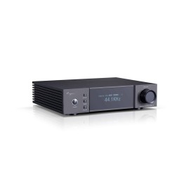 DAC à tubes Cayin iDAC-8 – Level Audio (8)