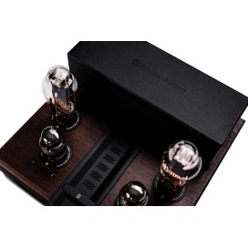 Feliks Audio Envy Susvara Edition