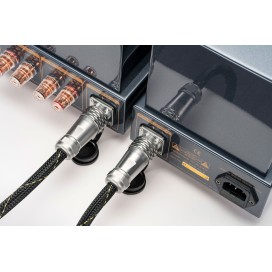 Cayin HA-300 Mk3