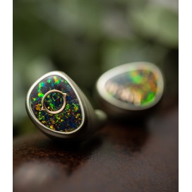 Buy Lime Ears Terra IEM