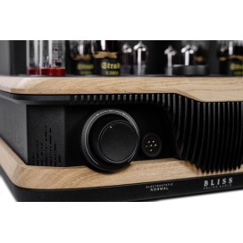 Feliks Audio Bliss – oak, headphone sockets