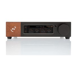 Ferrum WANDLA GSE – Level Audio (3)