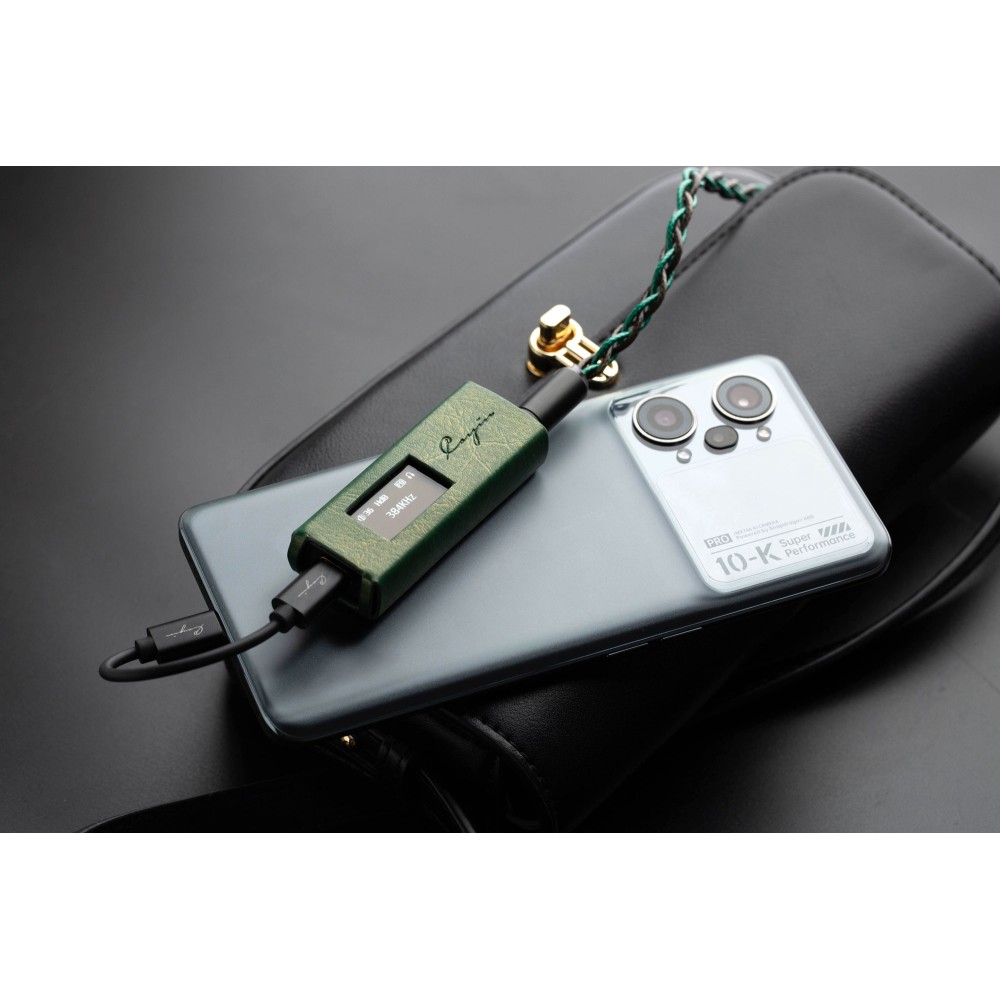 Cayin RU7 Dongle DAC Ansicht