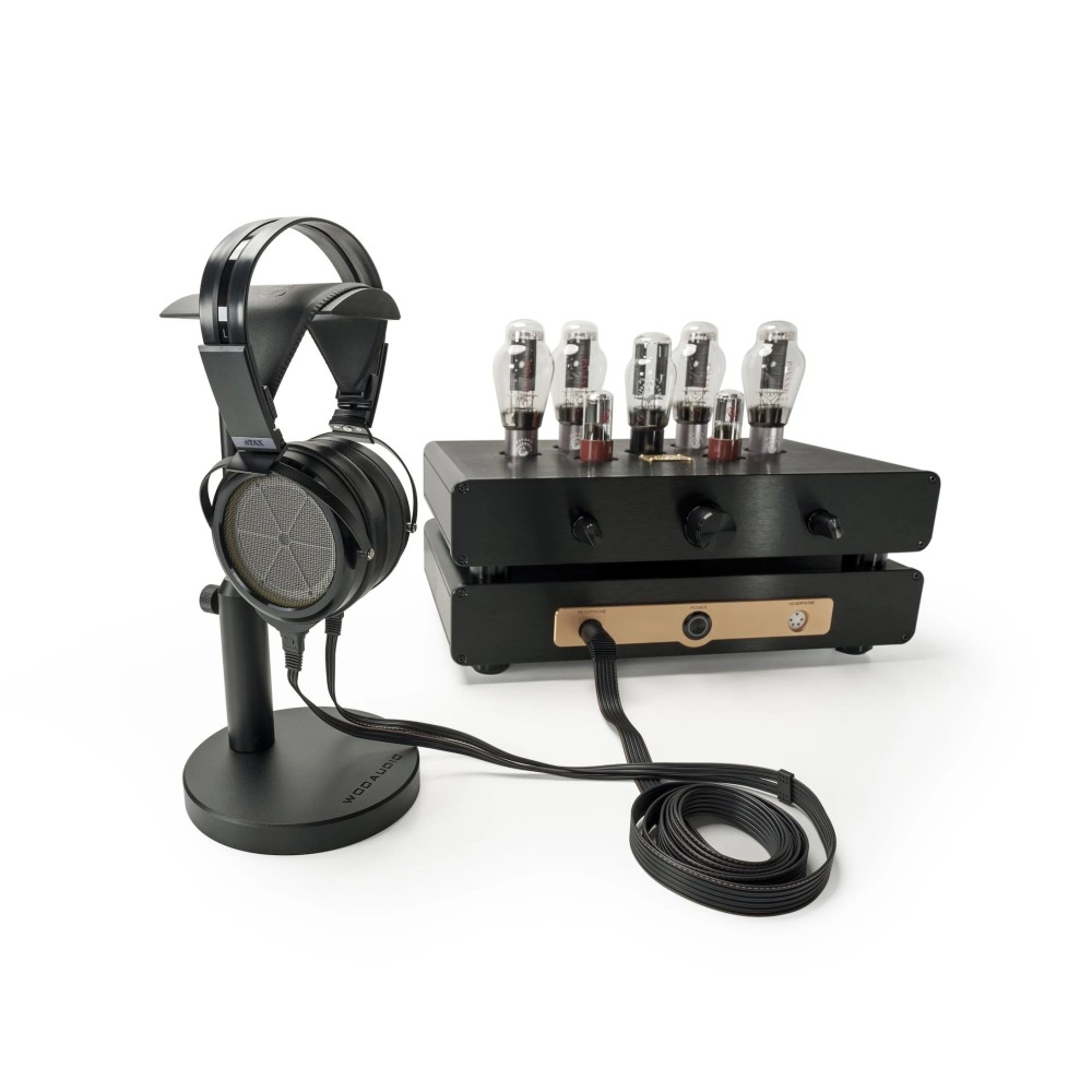 Stax SR-009D view