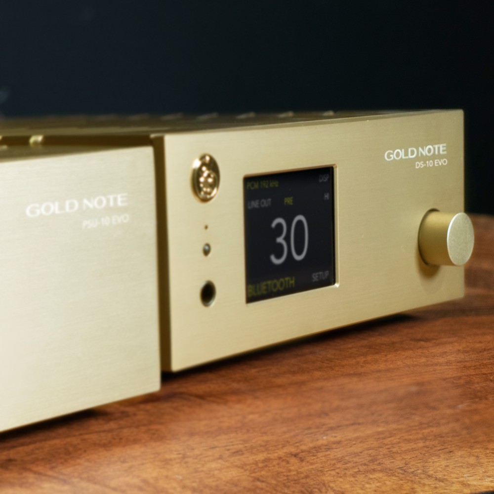 Gold Note DS-10 EVO LINE view