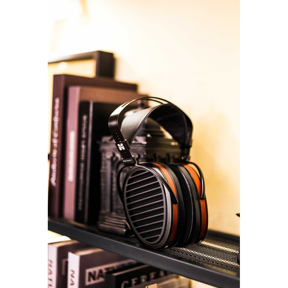 Hifiman Arya Organic view