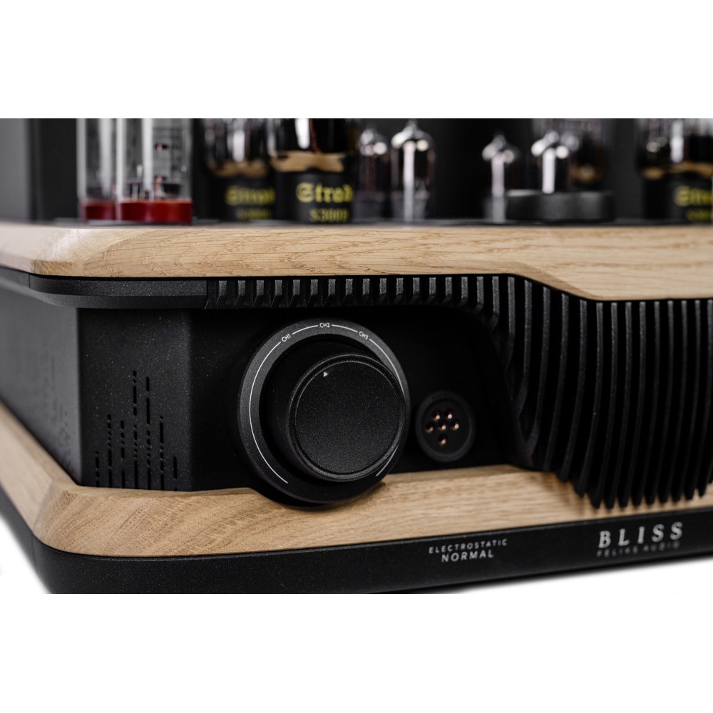 Feliks Audio Bliss in oak with headphone sockets