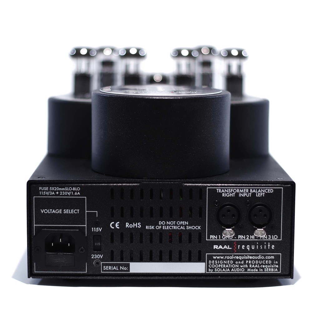 RAAL VM-1a view