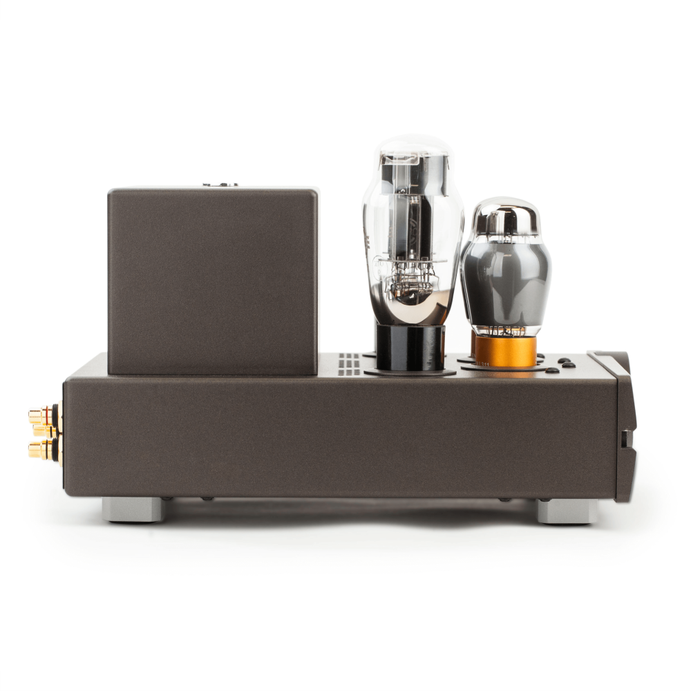 Feliks Audio Euforia EVO view